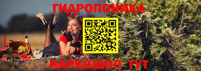 МДМА Можга