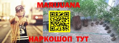 МДМА Можга