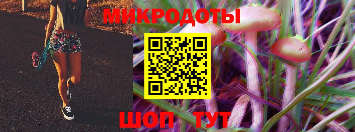 Псилоцибиновые грибы Psilocybine cubensis Унеча